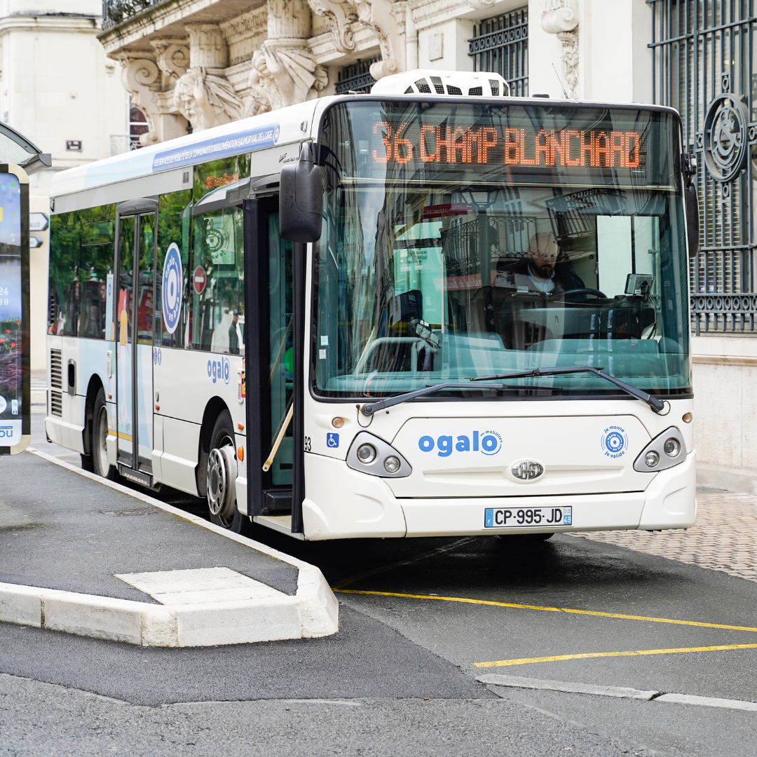 Bus Ogalo Saumur Val de Loire