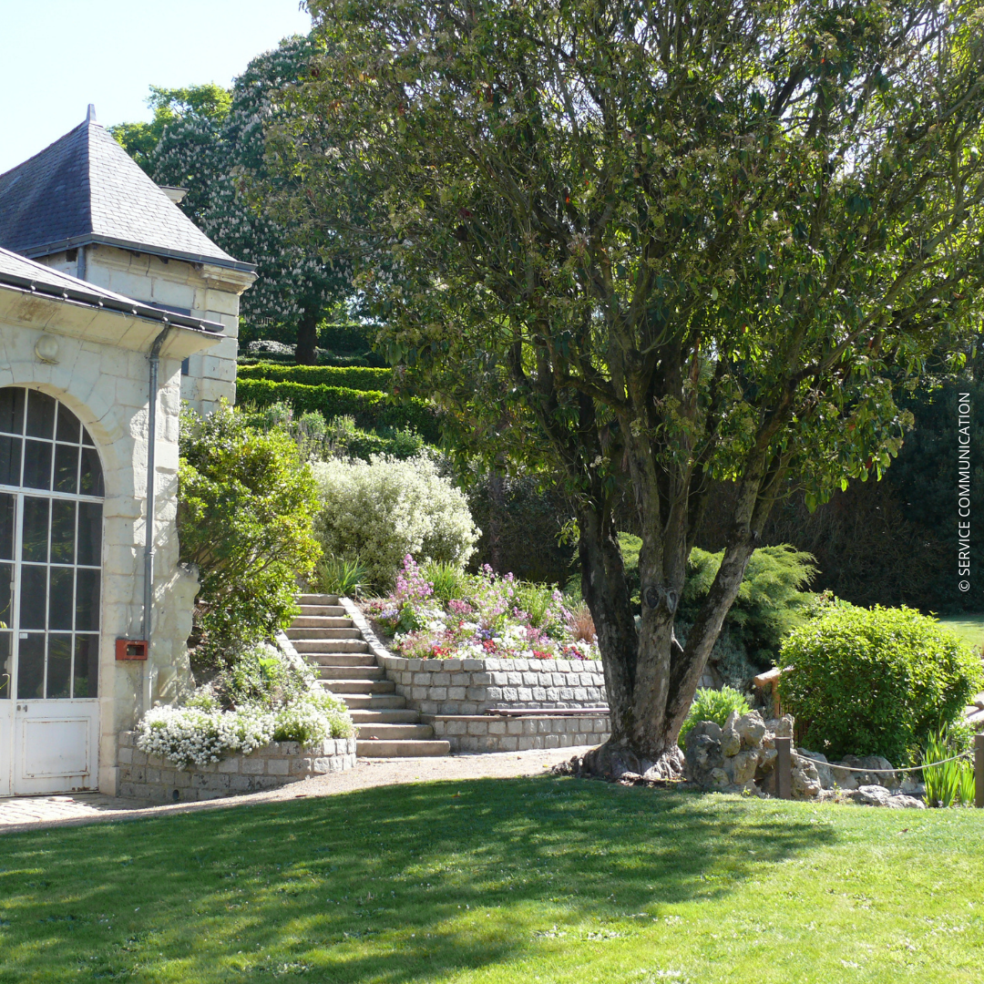 Le jardin des plantes