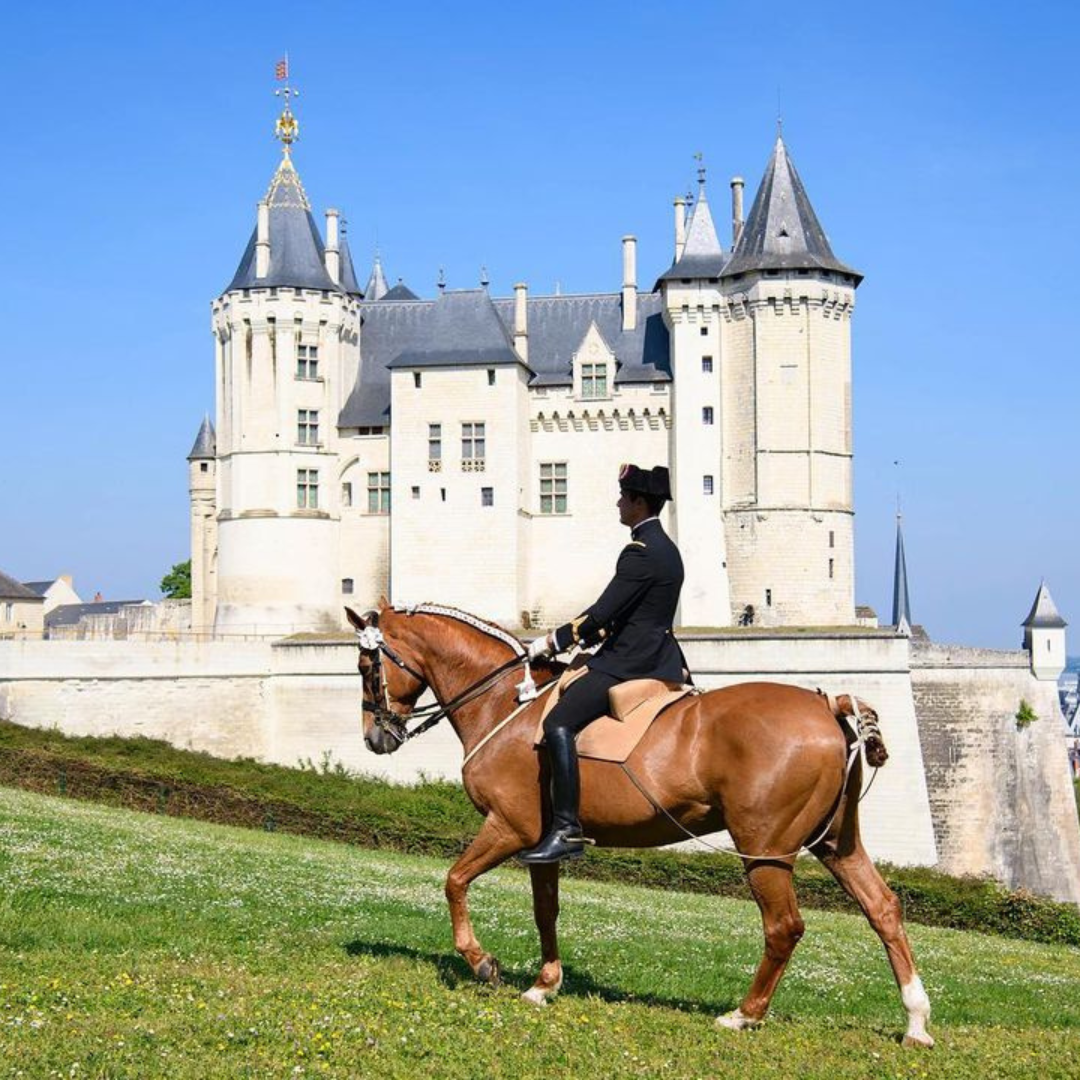 SAUMUR CHEVAL FESTIVAL