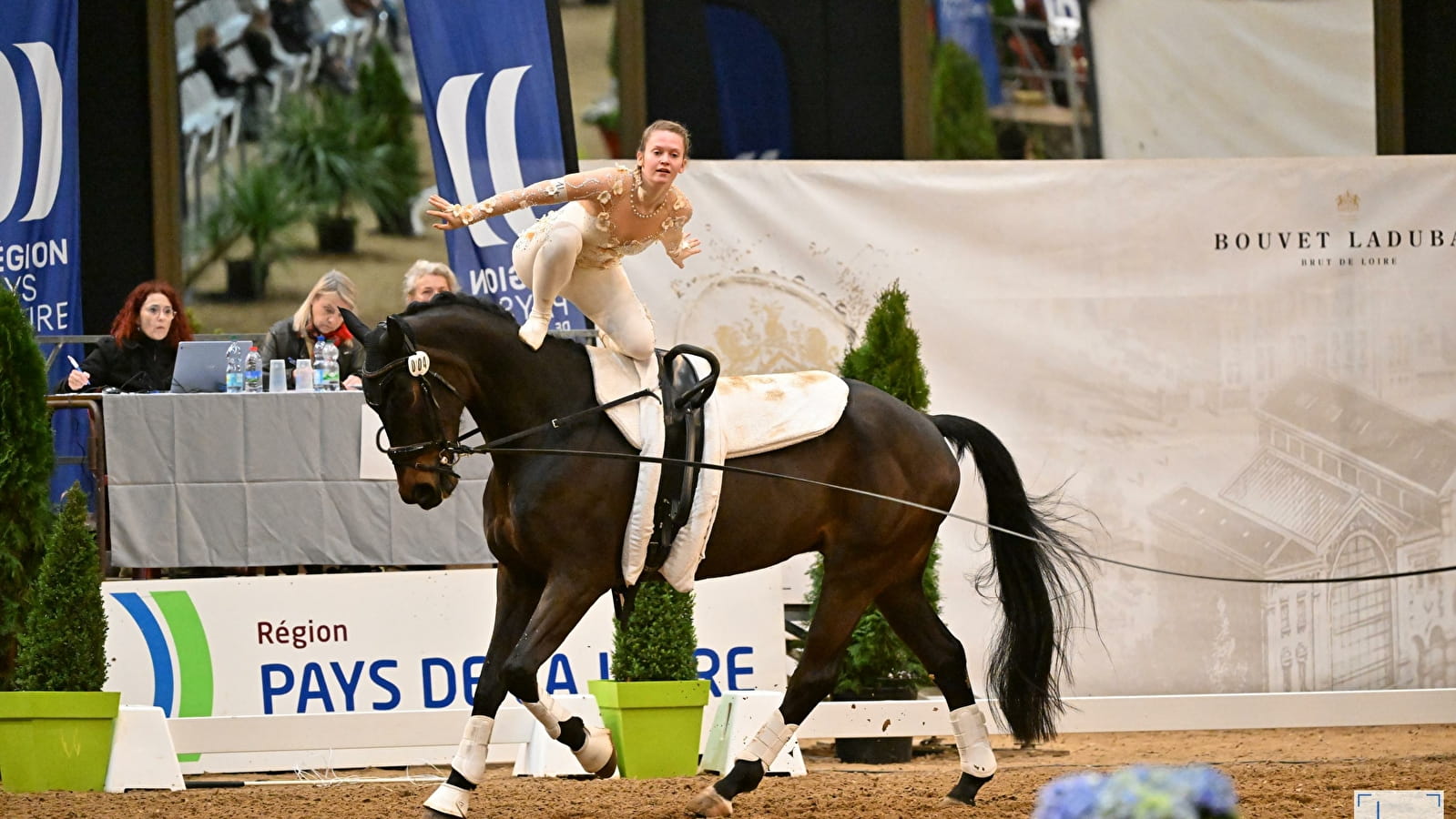 Saumur Voltige 2025