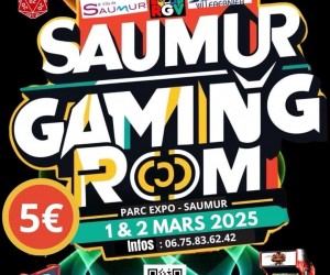 Saumur Gaming Room