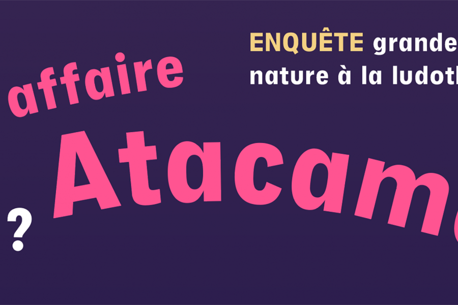 L'affaire Atacama : une enquête géante à la ludothèque !