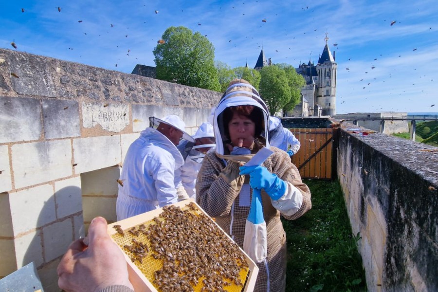 Rucher école de Saumur, la première récolte de miel est en vente