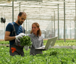 Agrimouv : Découvrir les métiers de la polyculture et de l'élevage