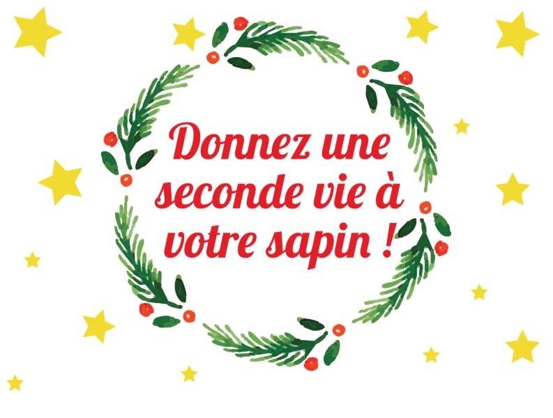 Offrez une seconde vie à votre sapin après les fêtes ! 