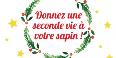 Offrez une seconde vie à votre sapin après les fêtes ! 