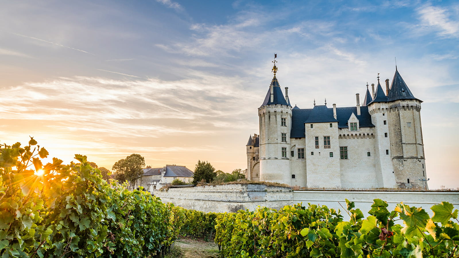 La fête des vendanges au Château de Saumur