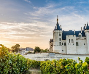 La fête des vendanges au Château de Saumur