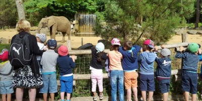 Iles des enfants : à la découverte du Zoo de la Flèche